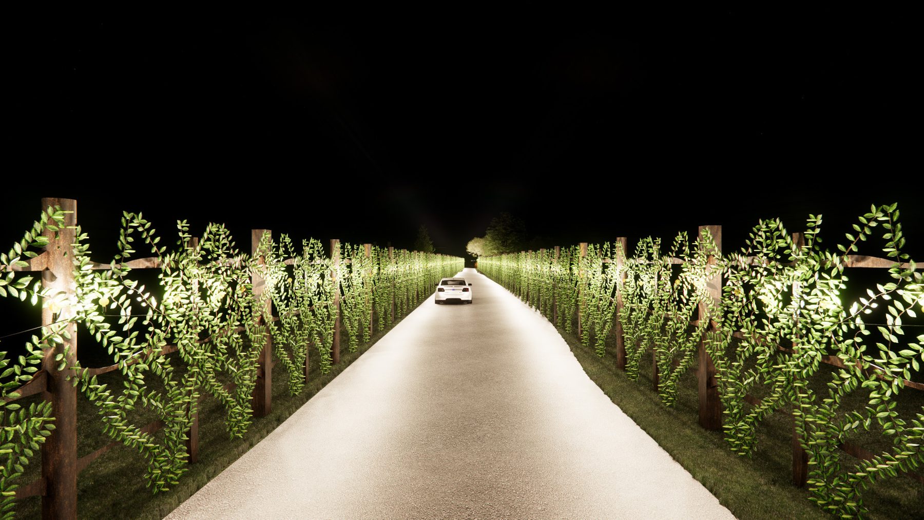 Evening rendering of the lit trellis allée at the proposed campus entrance