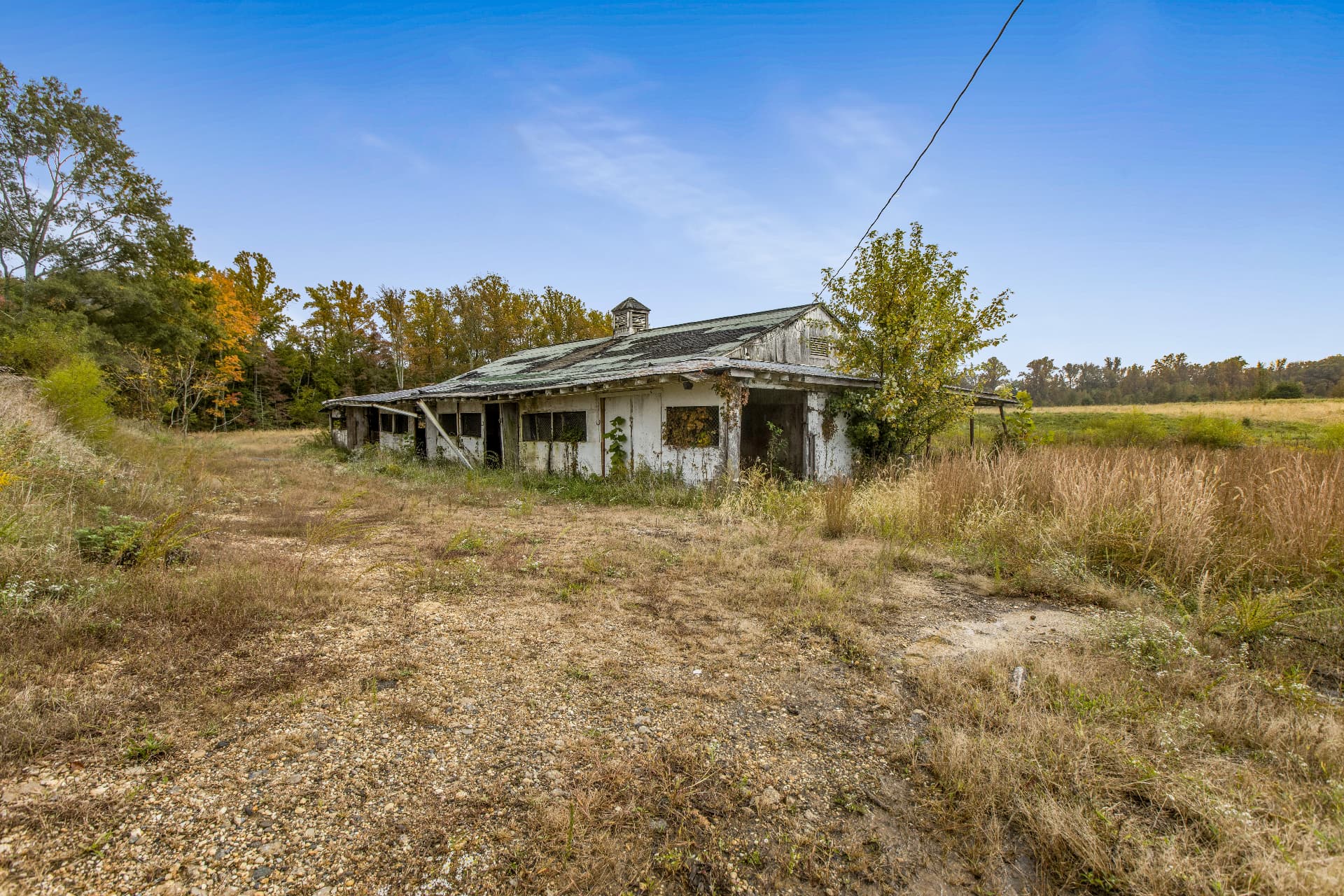 Weathered heritage barn standing in an open field of golden grasses on the farm in Brandywine, Maryland
